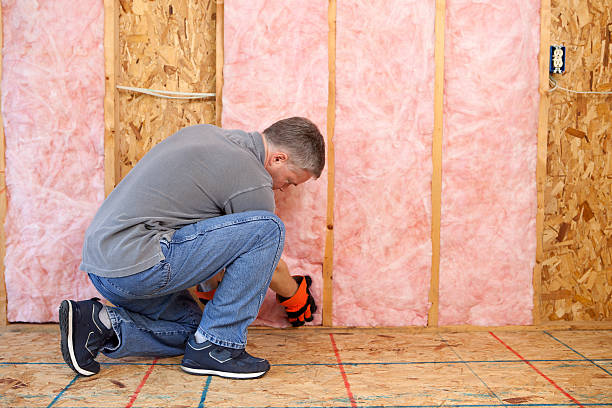 Best Cellulose Insulation  in Pasco, WA